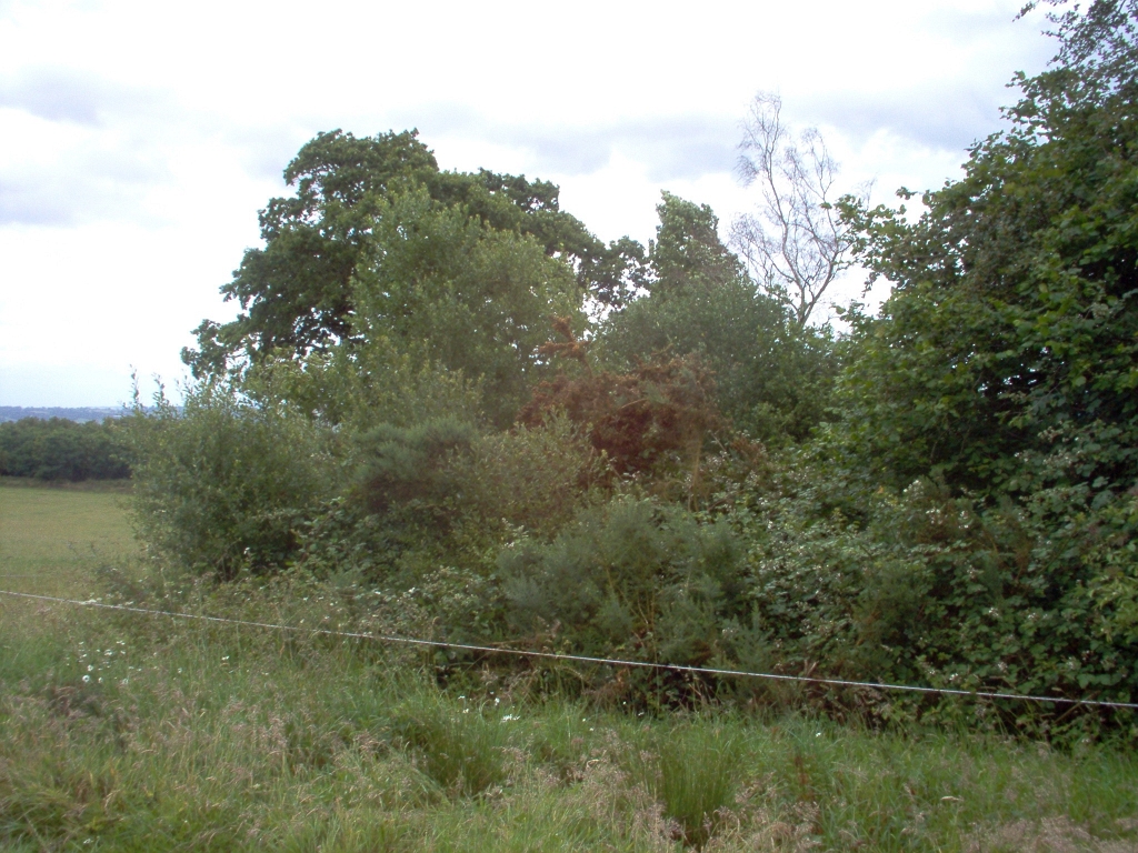 20110000 LA PAVÉE Pont-Farcy 32.jpg - IM000297.JPG